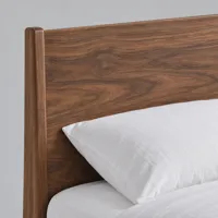 Alder timber bed